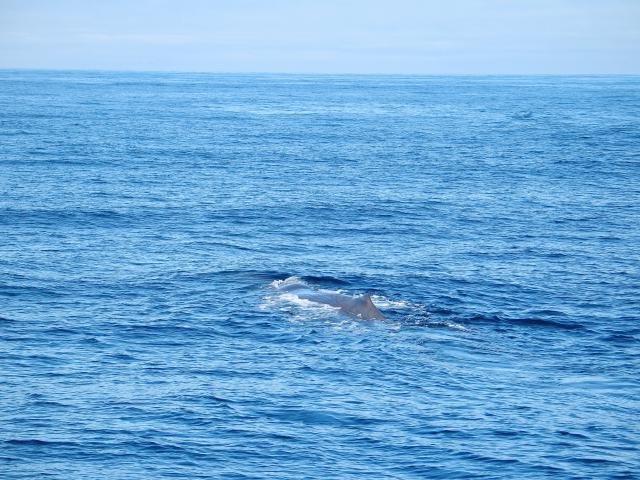 Urlaub in Norwegen 2006